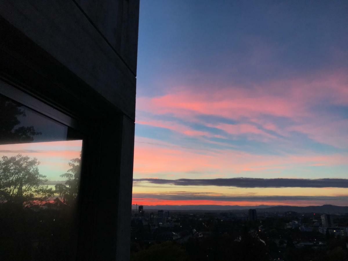 Ferienwohnung-Freiburg-Exklusiv Екстериор снимка